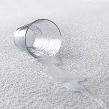 Terry Mattress Protector Waterproof